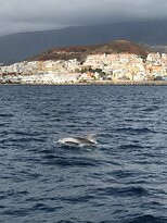 Sailor Excursions Madoudou Tenerife景点图片