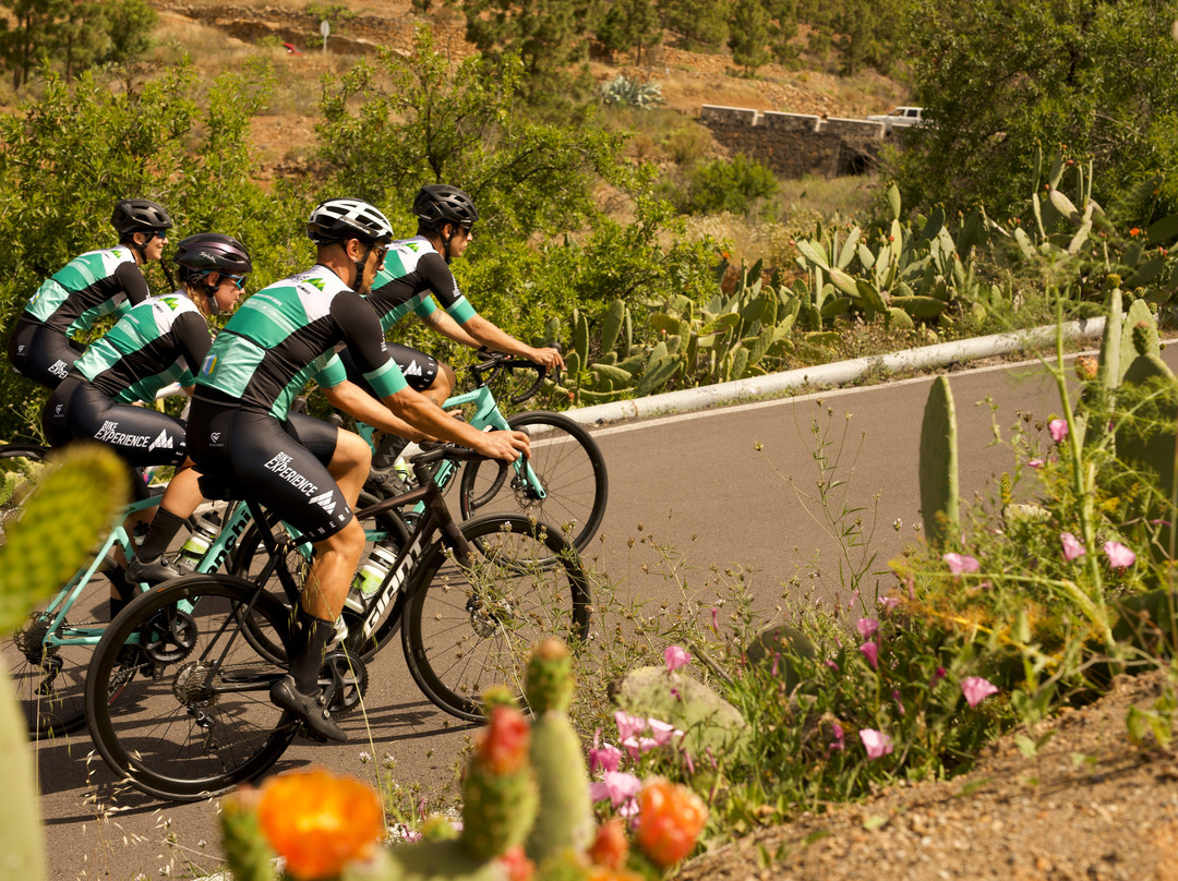 Bike Experience Tenerife