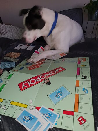 斯安克开普敦美景酒店主图