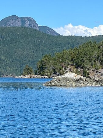 Wild Waterways Adventures-Quathiaski Cove必去景点