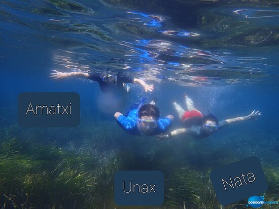 Posidonia Ecosports景点图片