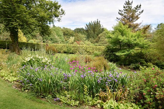 Llwyngarreg Garden景点图片
