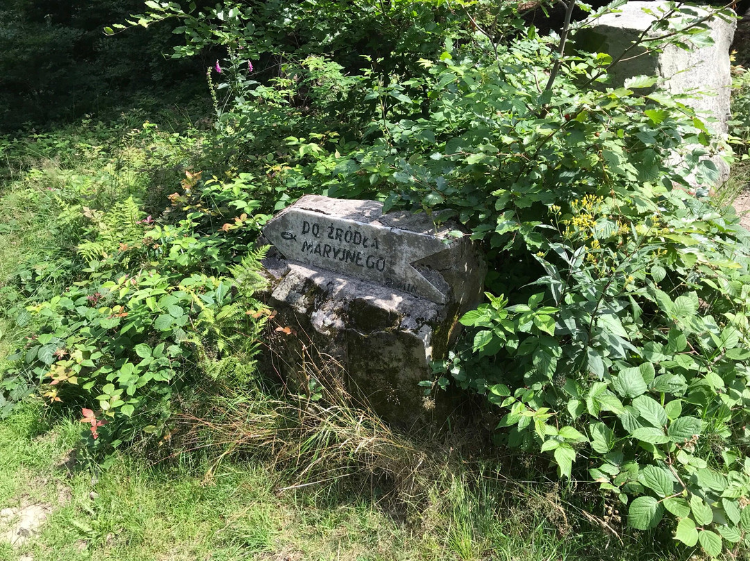 Żółty szlak Kozy - Chrobacza Łąka