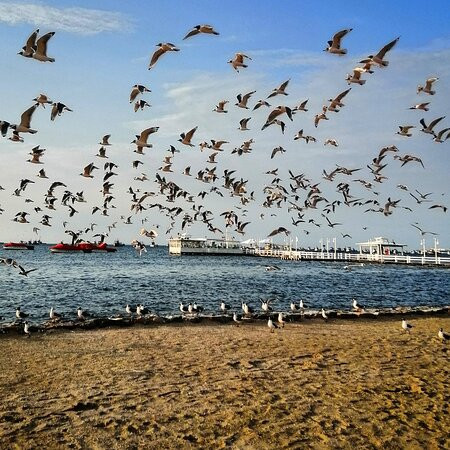 帕拉卡斯豪华精选度假酒店主图