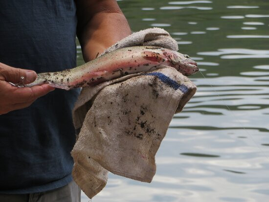 Fenton Lake State Park-Jemez Springs必去景点