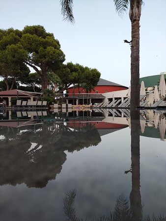 Occidental Menorca-泳池