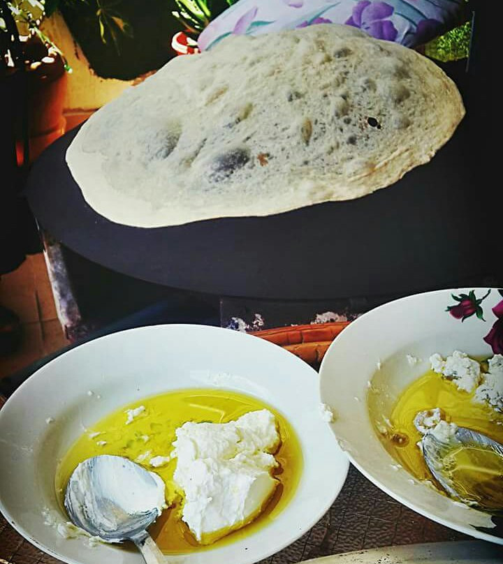 Tzlil Hahoresh
