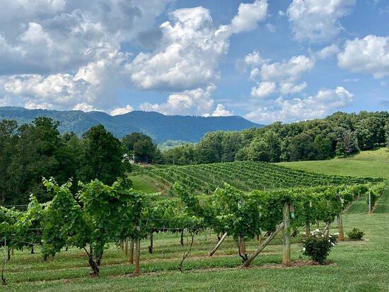 Addison Farms Vineyard-Leicester必去景点