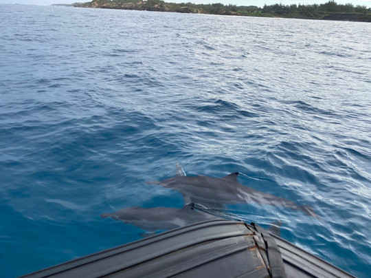Kauai Sea Rider Snorkel & Whale Watching Tours-坡伊普必去景点