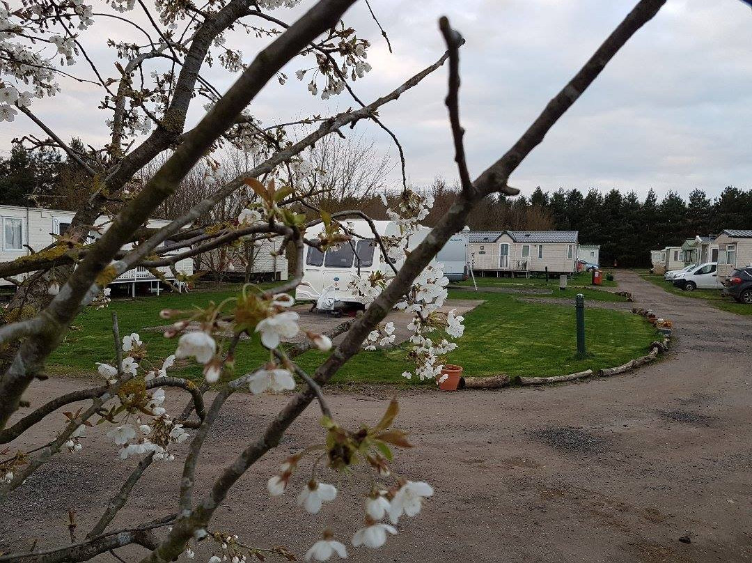 Epworth Fields Holiday Park