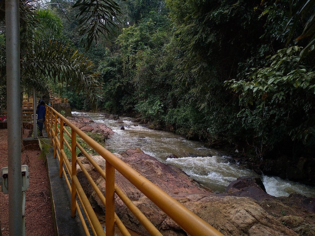 Meenpidi Para Kottarakkara景点图片