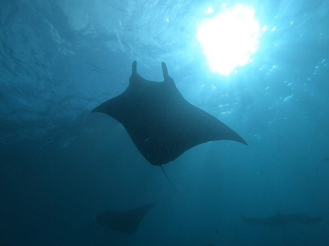 Caspla Dive Resort-珀尼达岛必去景点