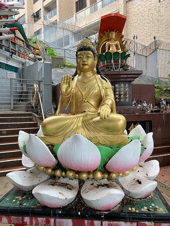 镇海楼公园-香港必去景点