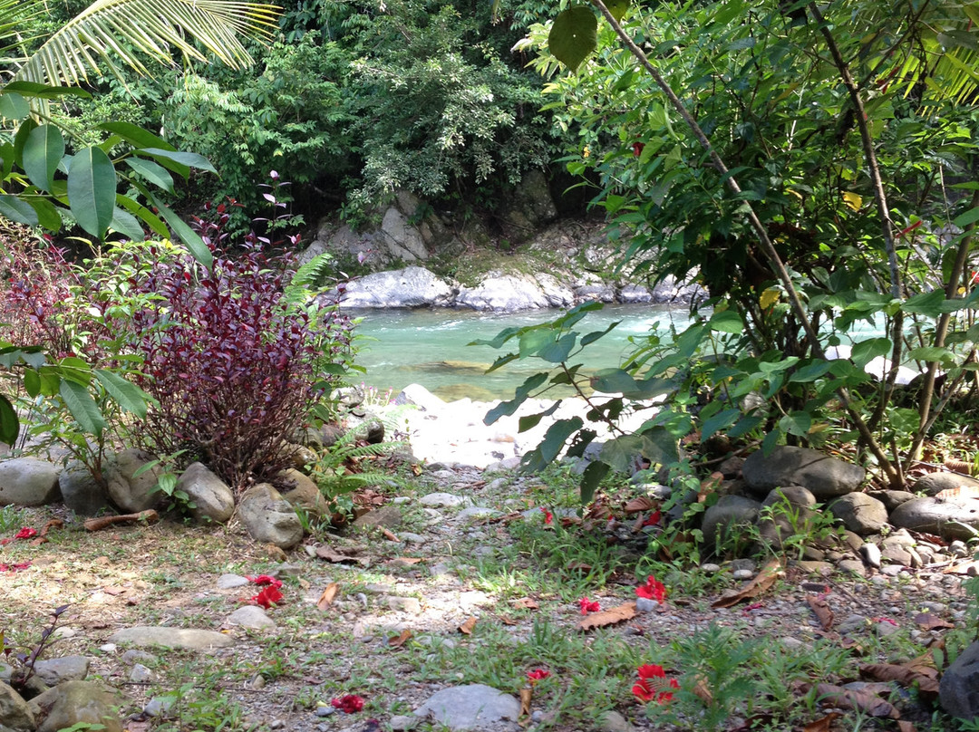 Harimau Sumatra-武吉拉旺必去景点