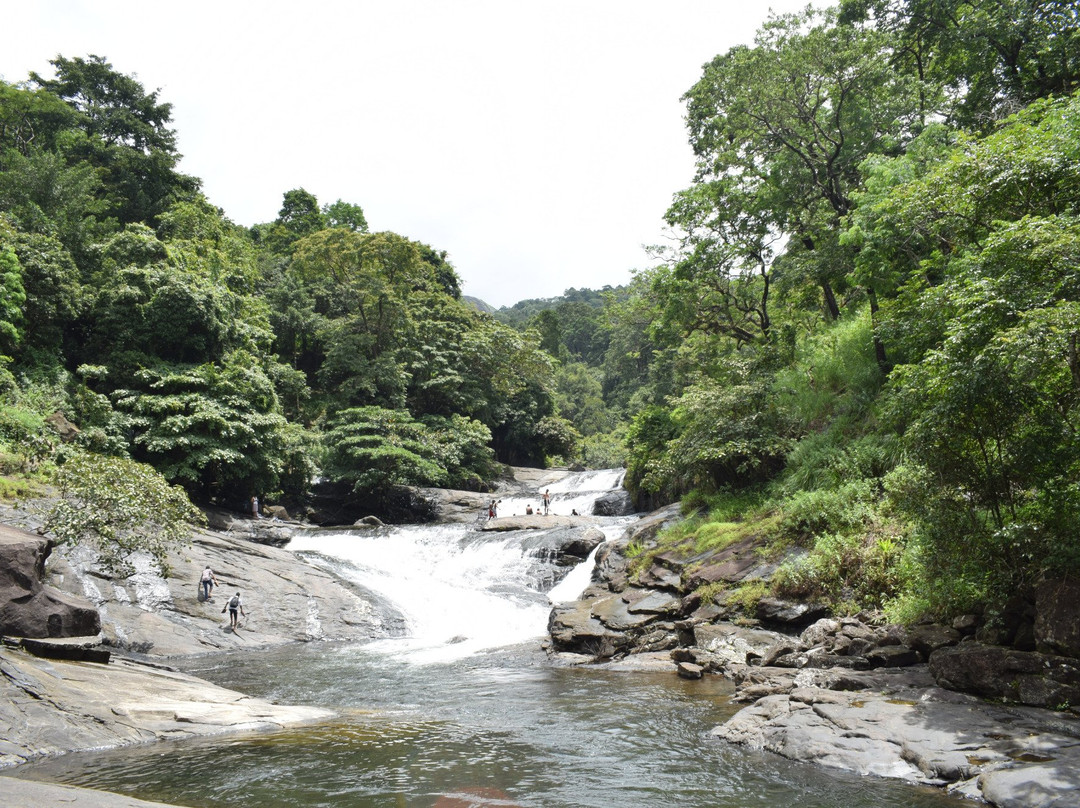 Nilambur旅游攻略图片