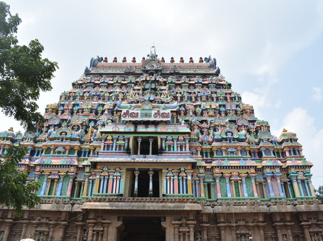 Thyagarajaswamy Temple景点图片