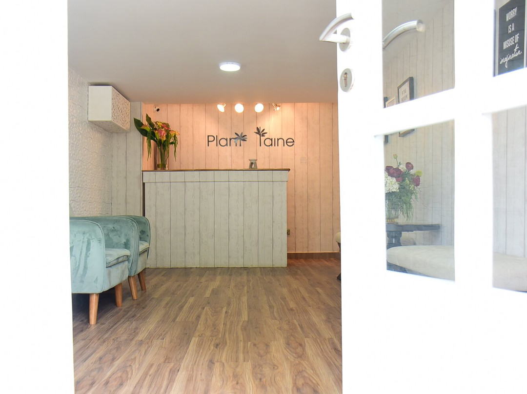 Plant Taine