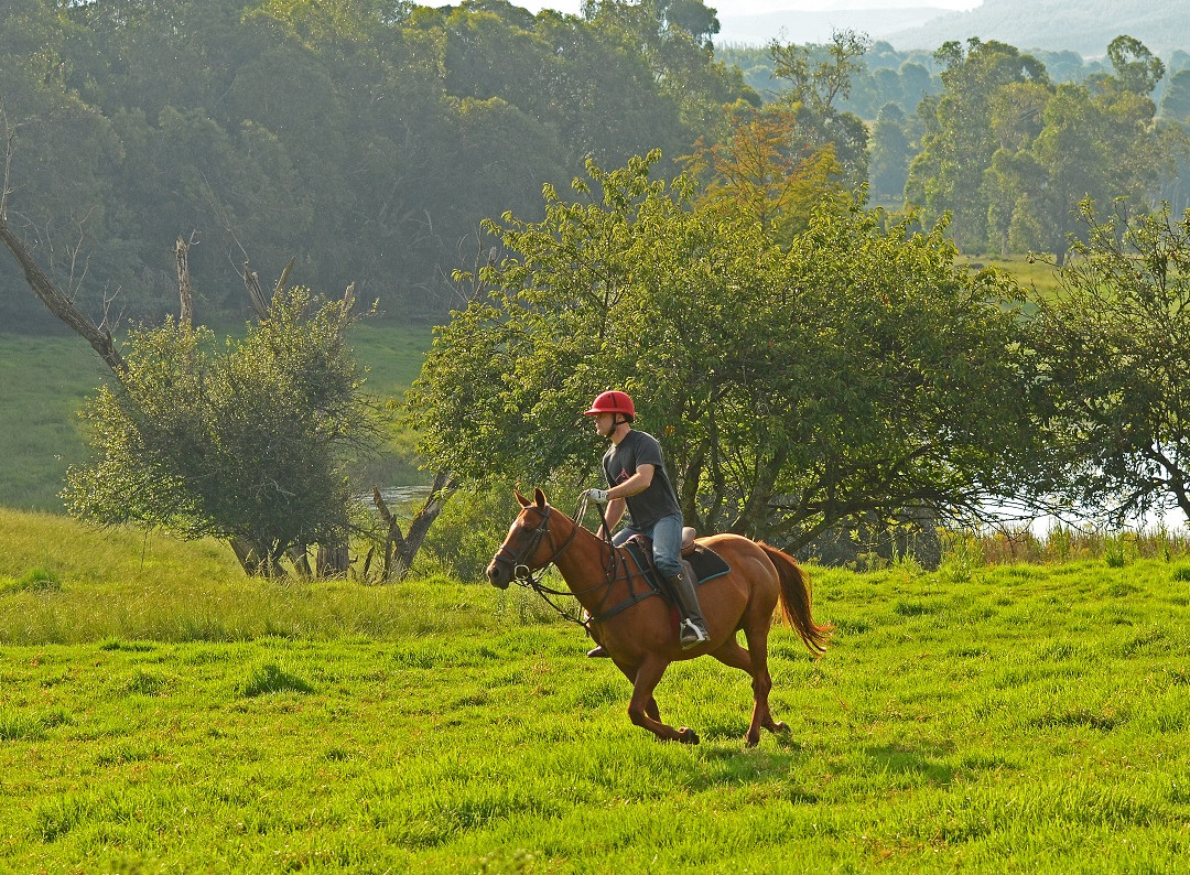Absolute Polo-安德堡必去景点
