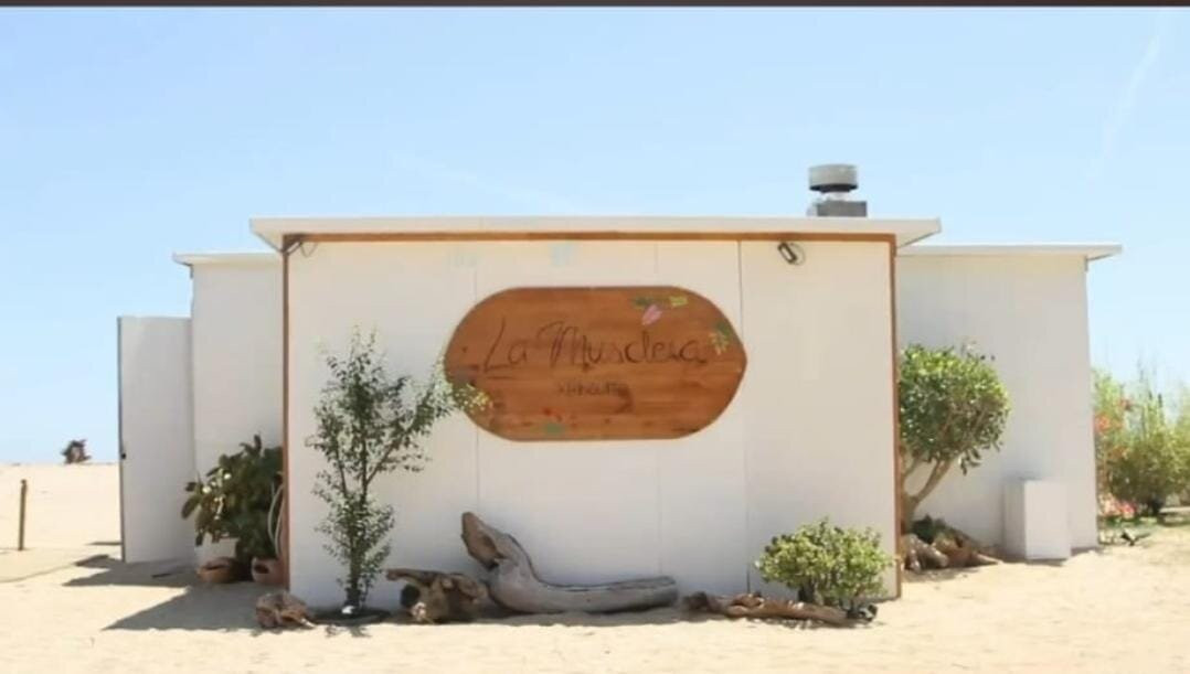 Xiringuito La Musclera