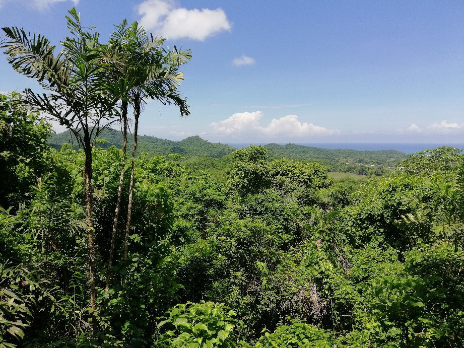 Reserva Bosque Seco Lalo Loor景点图片
