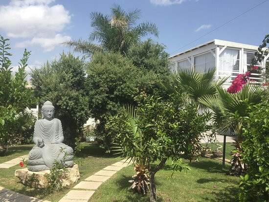 Floripa Yoga & Kitesurf House主图