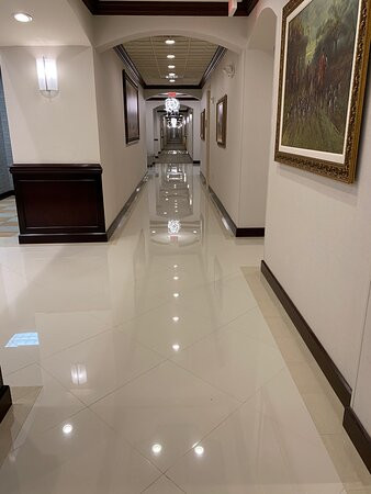 Hampton Inn & Suites Wellington主图