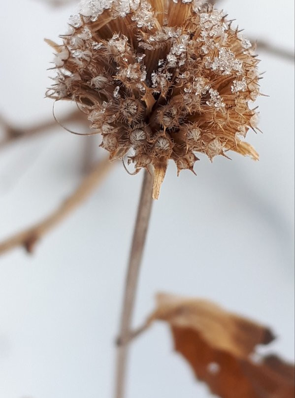 Birds Hill Provincial Park-曼尼托巴省必去景点