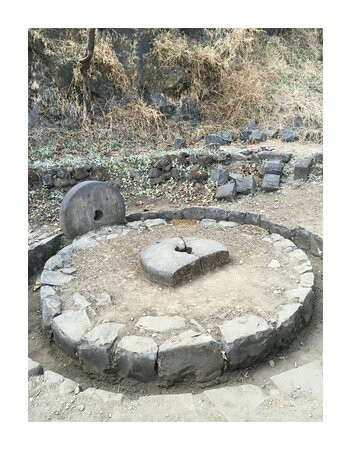 Torna Fort景点图片