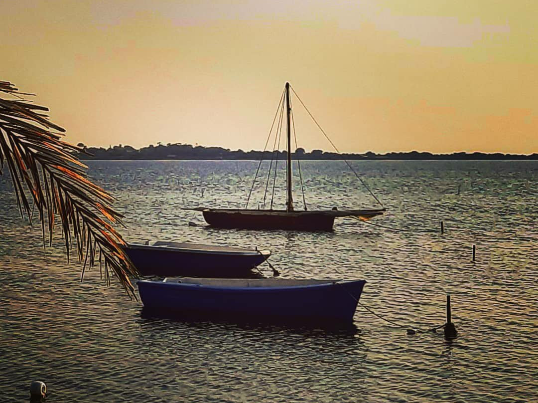 Laguna dei Fenici主图