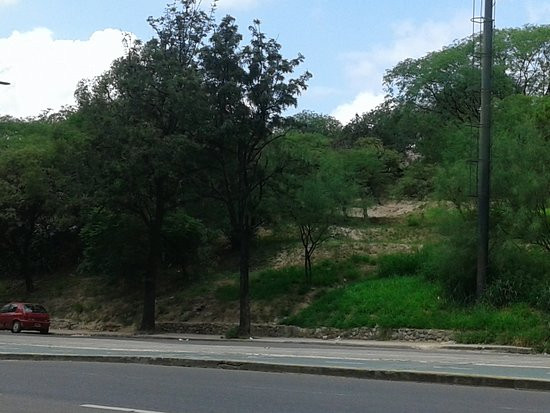 Parque Sarmiento景点图片