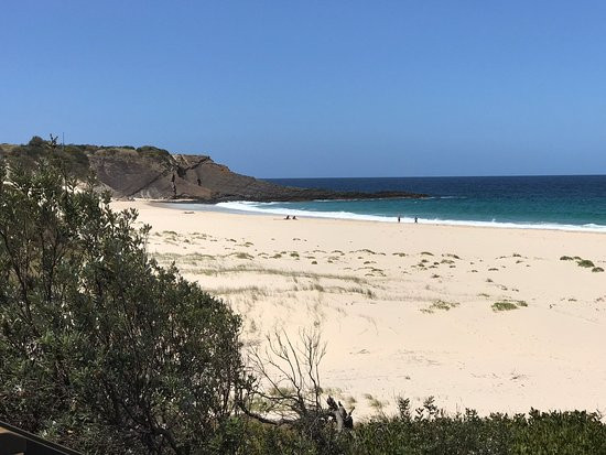John Ward Rainforest Walk-福斯特必去景点