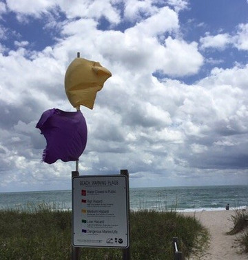 Avalon Beach Park-匹尔斯堡必去景点