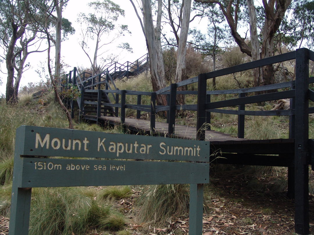 Mt Kaputar National Park景点图片