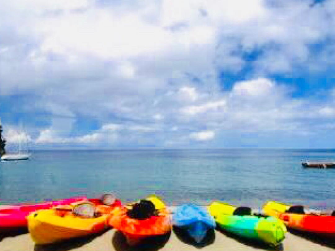 Go Kayak-雅高达必去景点