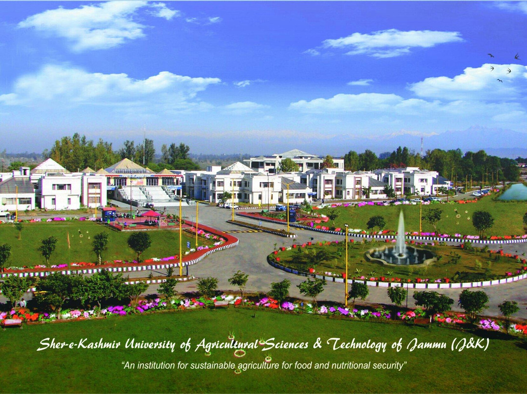 Sher-e-Kashmir University景点图片