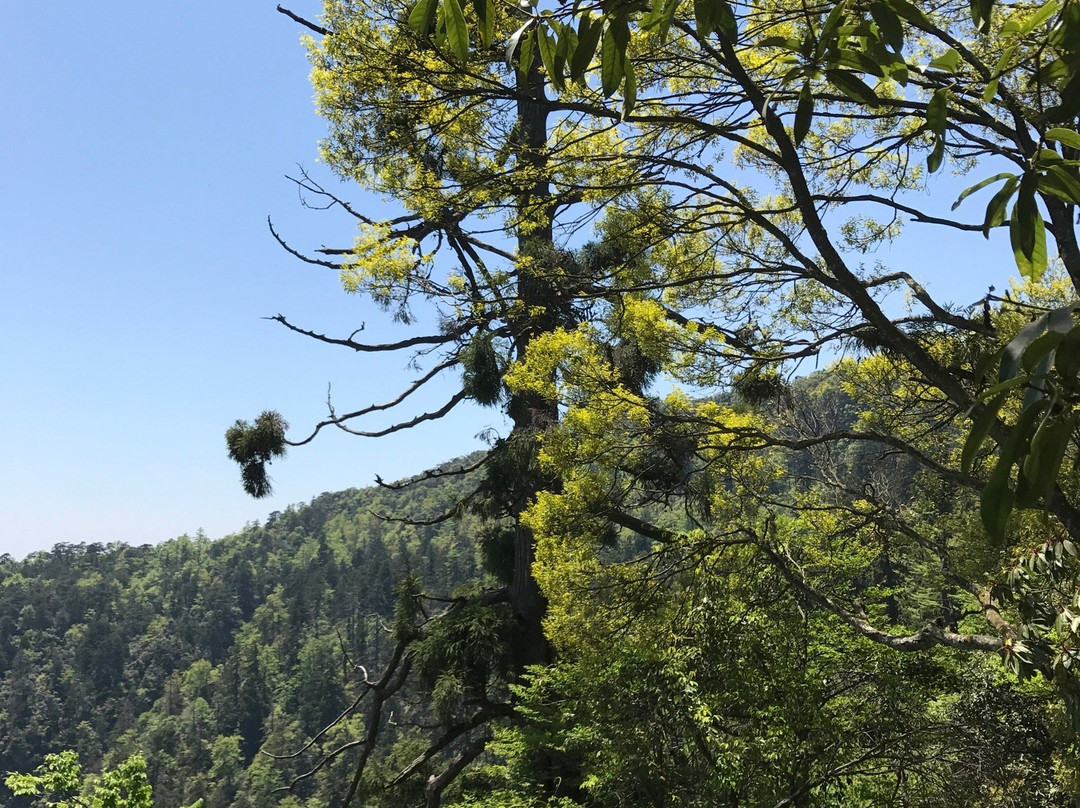 天姥山景点图片