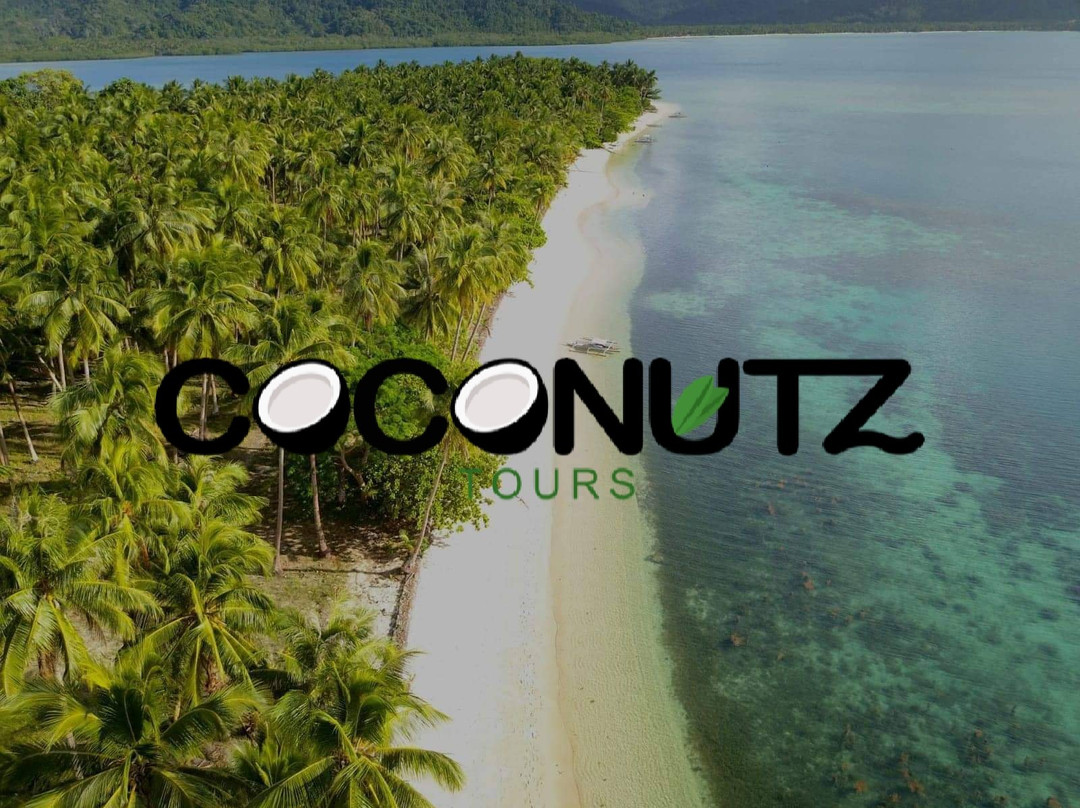 Coconutz Tours景点图片