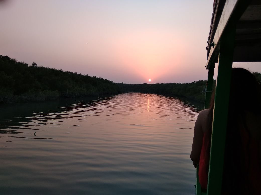 Sundarban Jungle Life景点图片