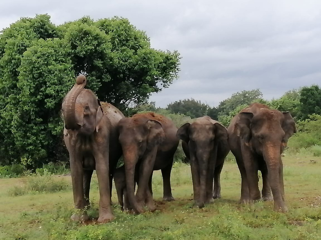 Meet Sri Lanka
