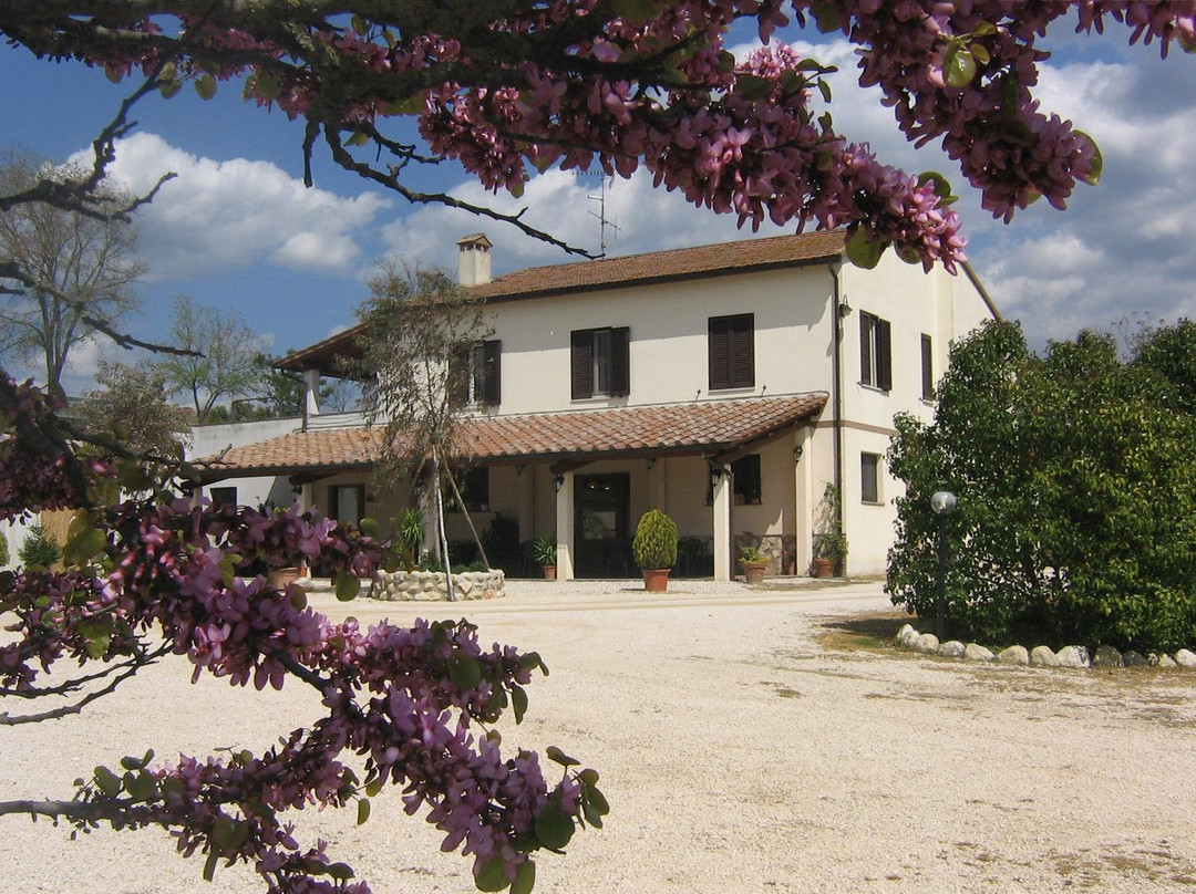 Agriturismo Il Piccolo Borgo Di Pezza Dario