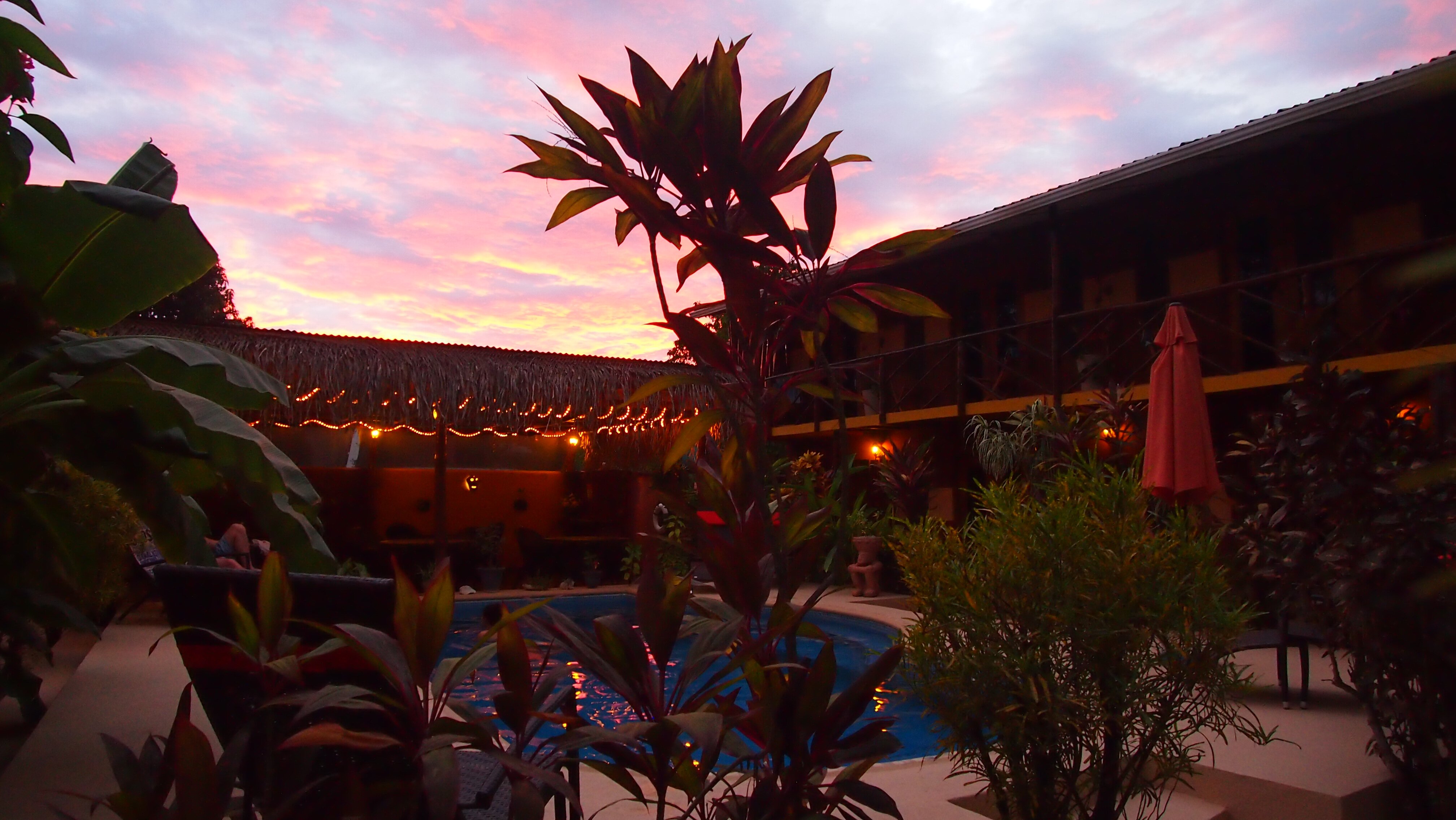 Samara Palm Lodge-官方