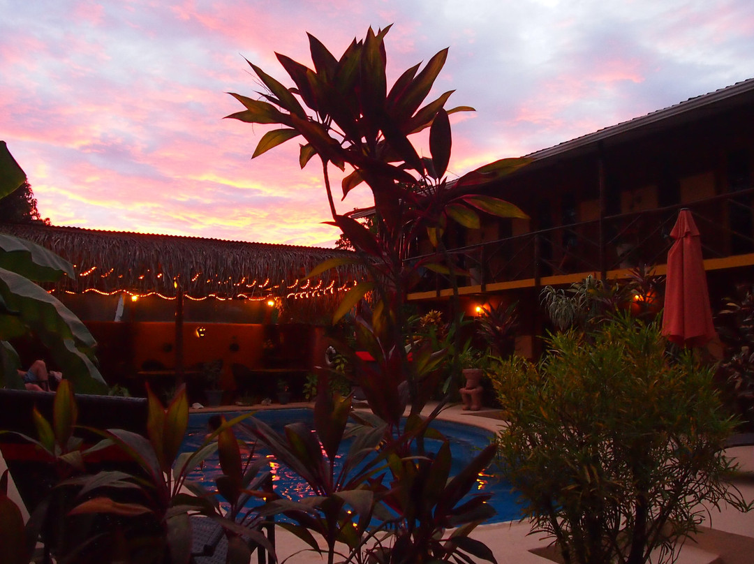 Naranjos Agrios酒店住宿-Samara Palm Lodge