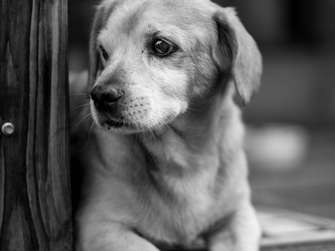 Made INN Vermont, an Urban-Chic Boutique Bed and Breakfast主图