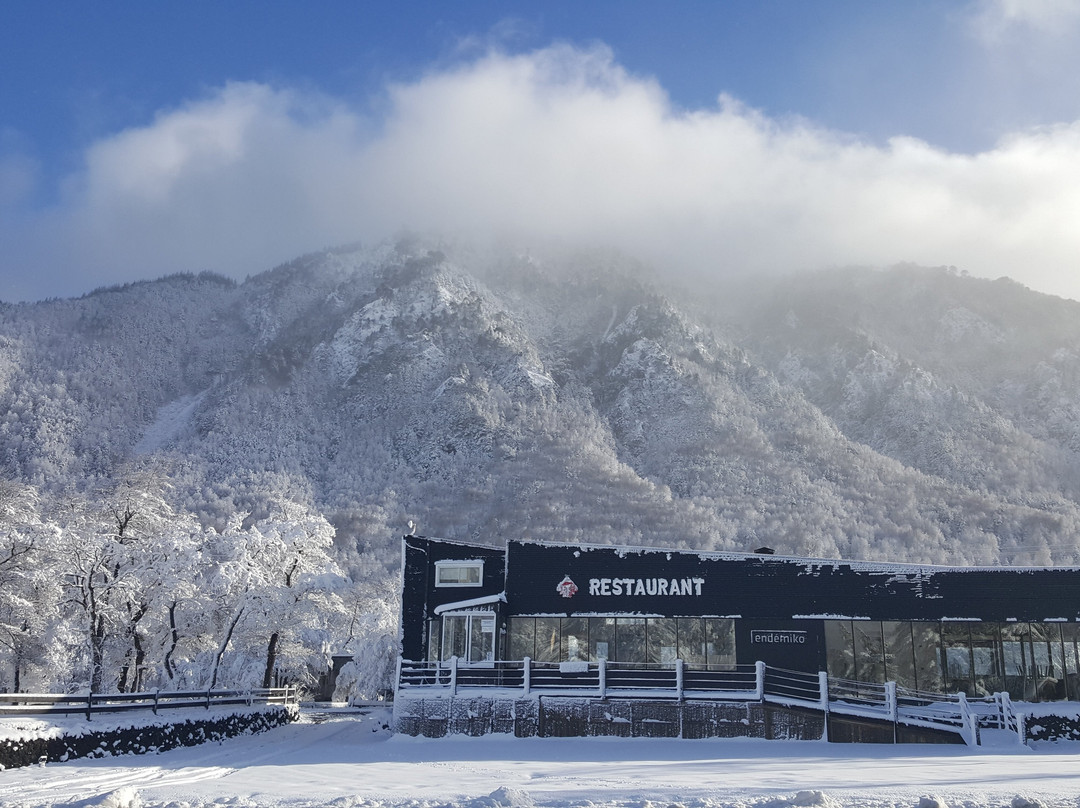 Malalcahuello餐馆和美食-Endémiko® Restaurante