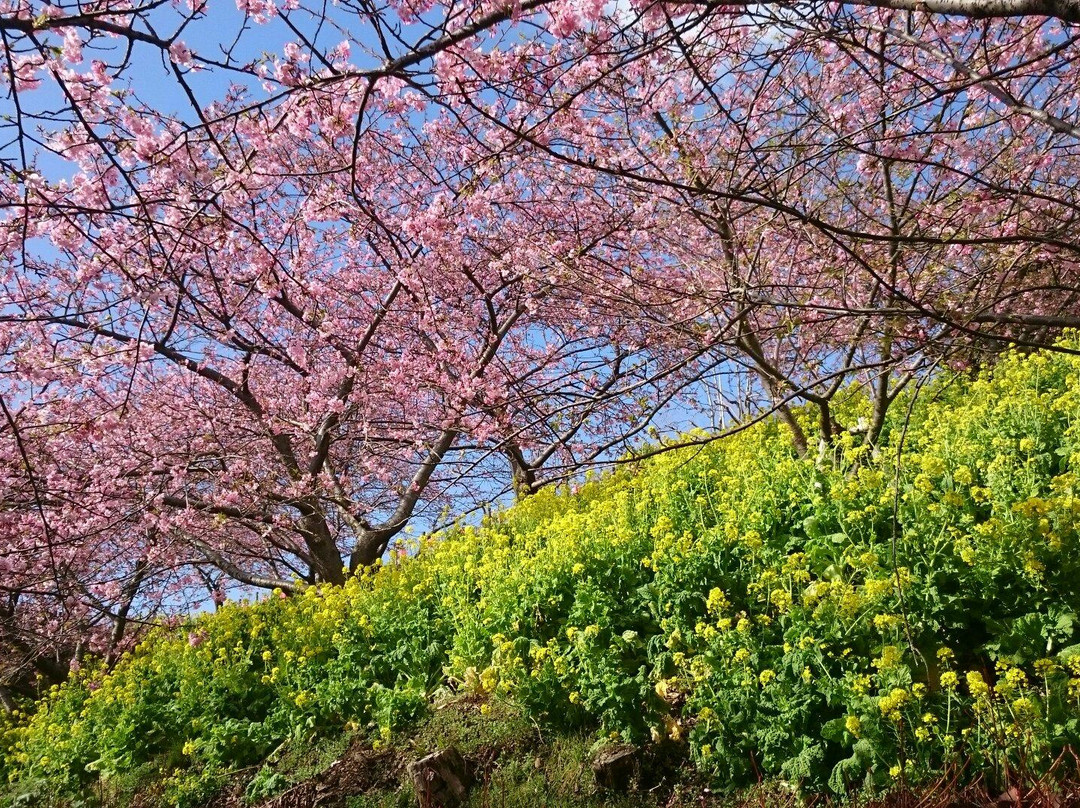 Nishihirahata Park景点图片