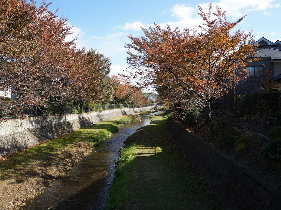 Nogawa Park景点图片