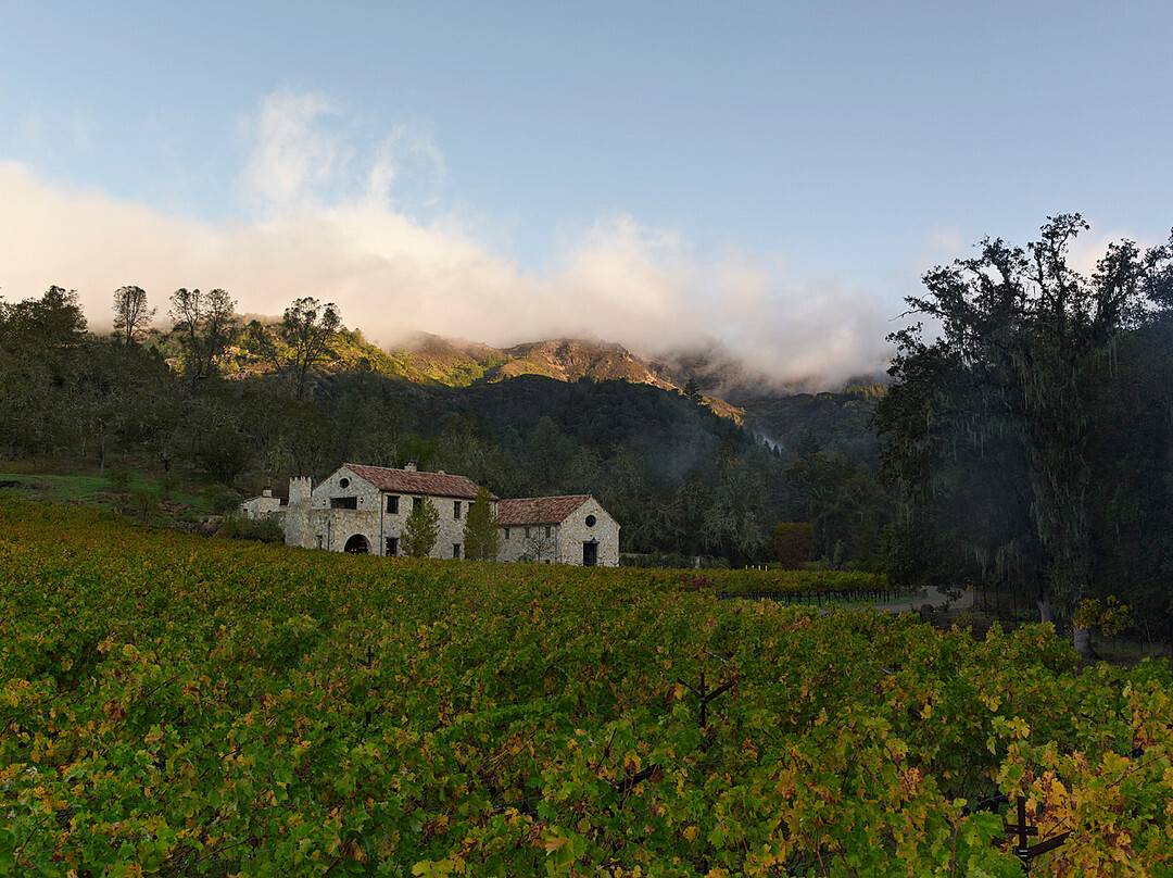 Kelly Fleming Wines景点图片