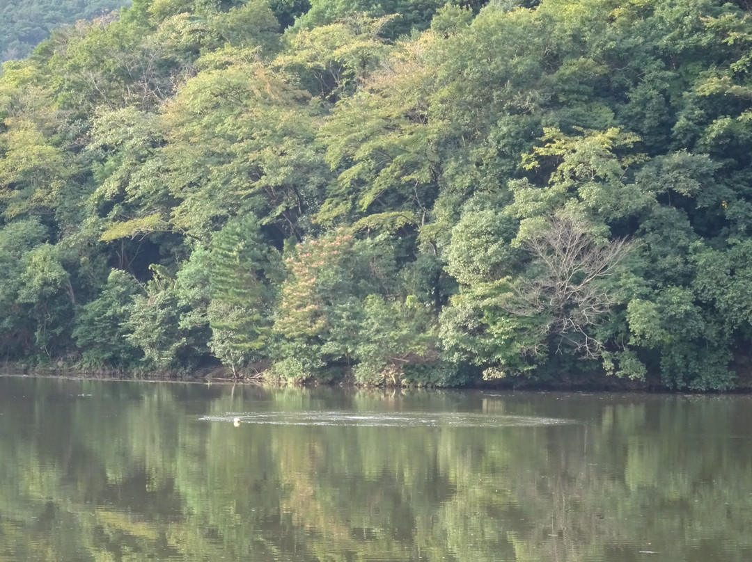 Takehara Dam景点图片