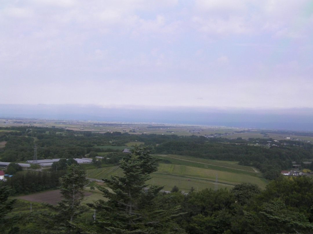Mount Tappu Lookout景点图片