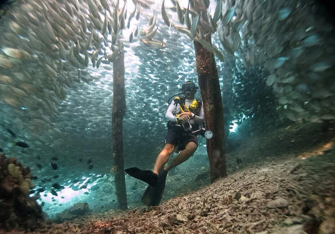 Papua Scuba-Waisai必去景点